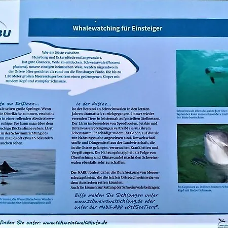 Lykkelig Ferie Apartament *